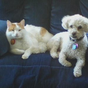 Meet your Posher, Melissa